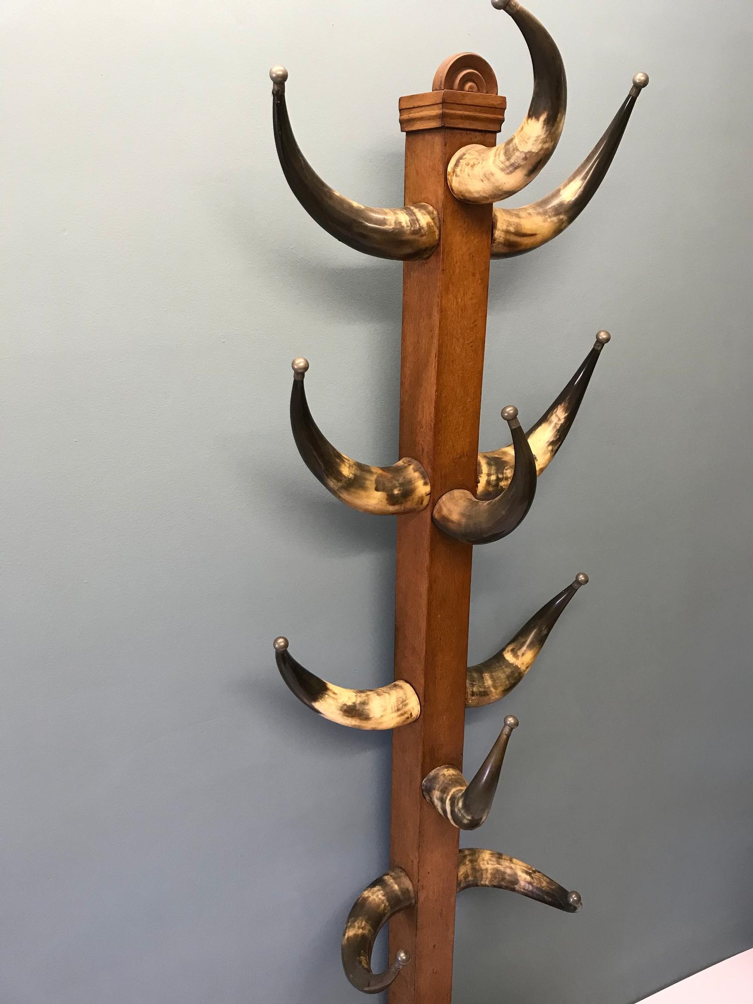 Victorian bull horn hat/ coat stand. The horns have pewter ball ends to the horn points. - Image 2 of 4