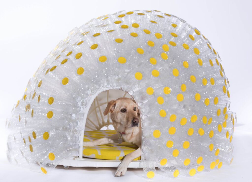 SPARK Architects - PET House