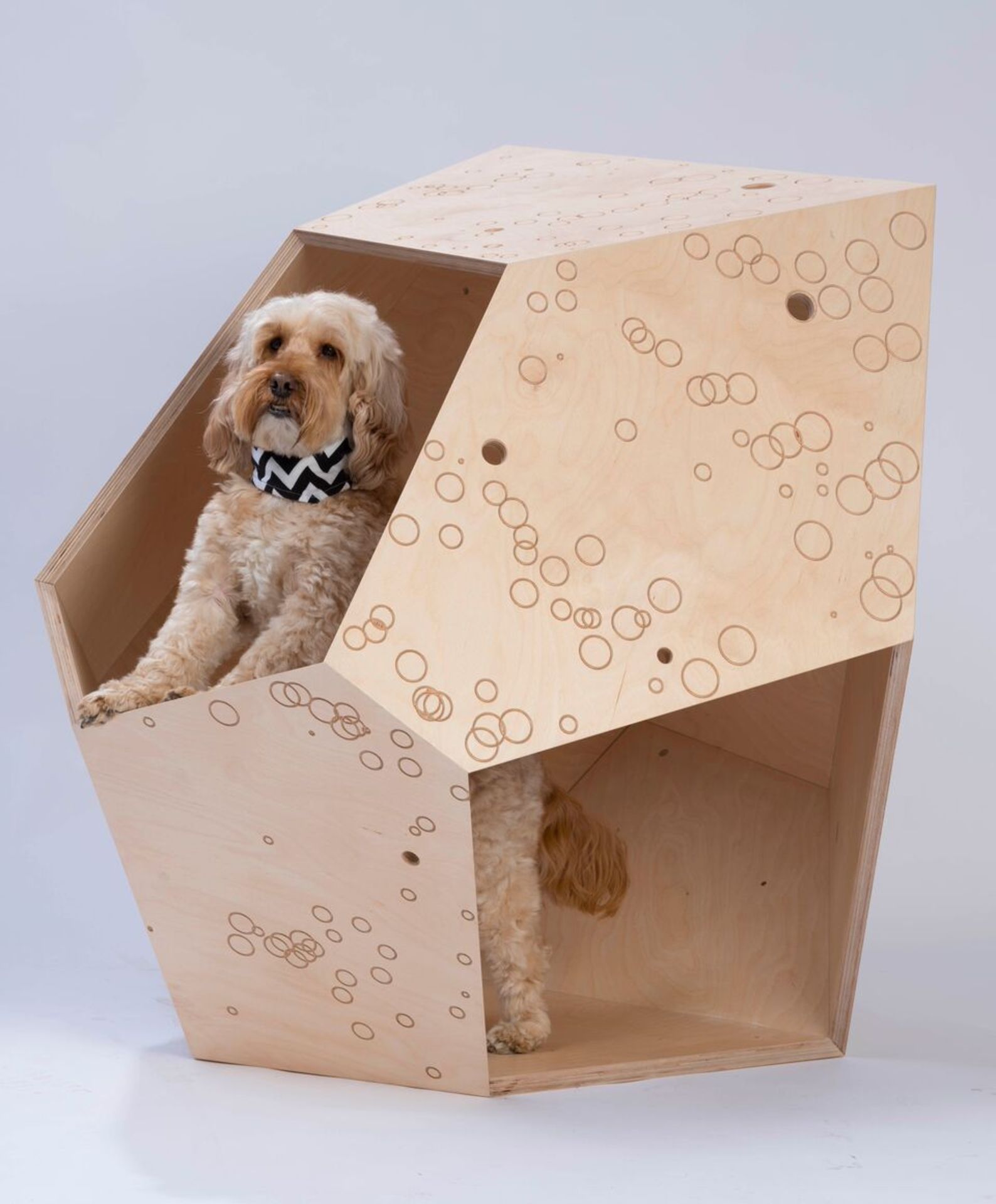 Pim.studio Architects - PiM.dog - Image 3 of 5