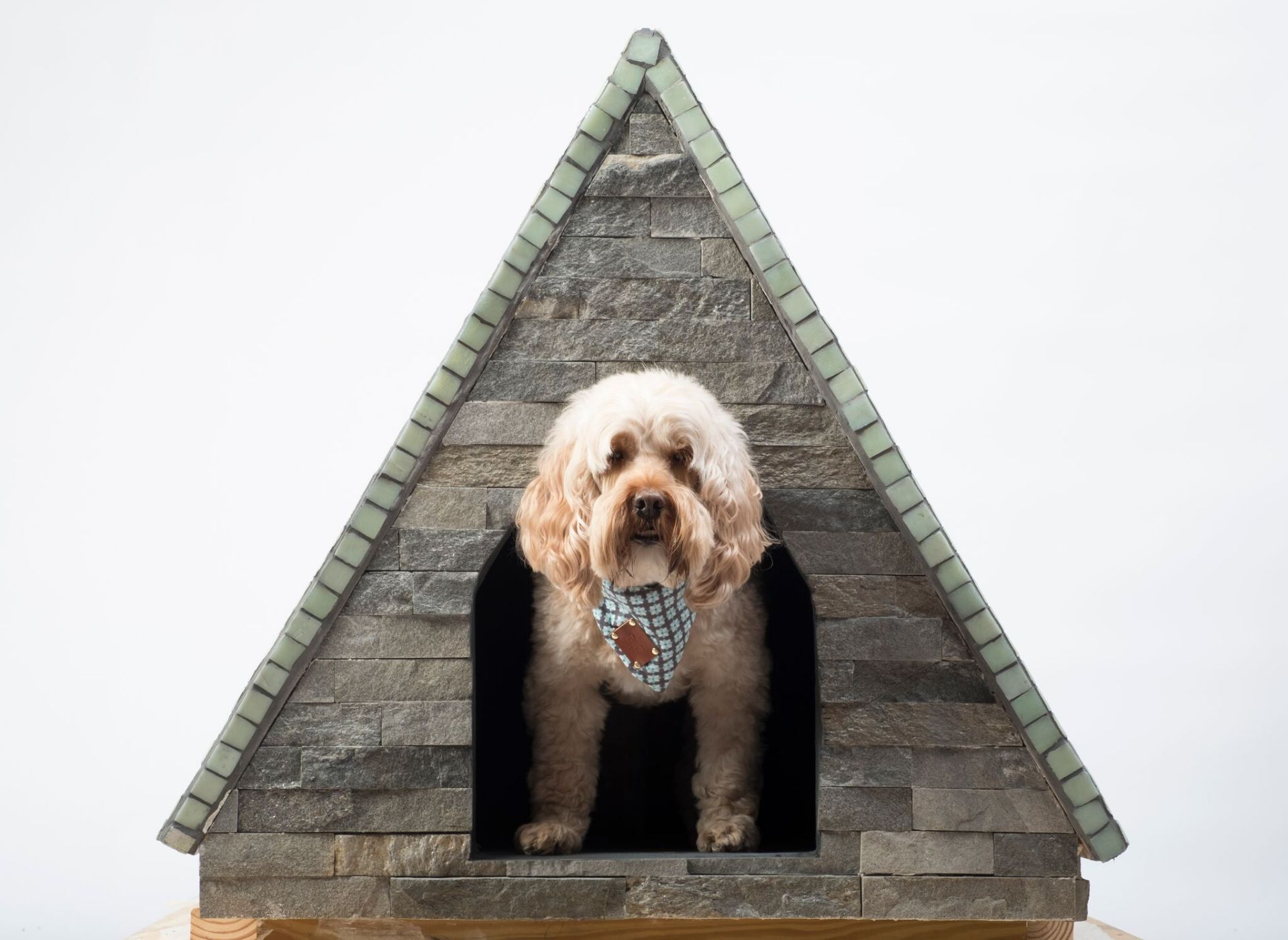 Jay Goulde, Matt Maynard, Eric Palmgren, Amanda McGraw and Tracy Rich - Canine Campanile