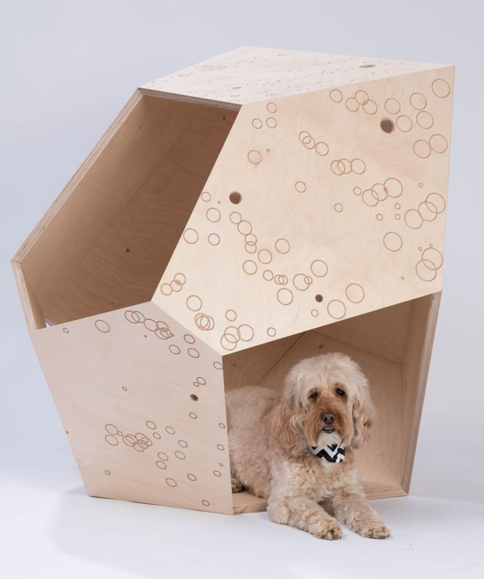 Pim.studio Architects - PiM.dog - Image 5 of 5