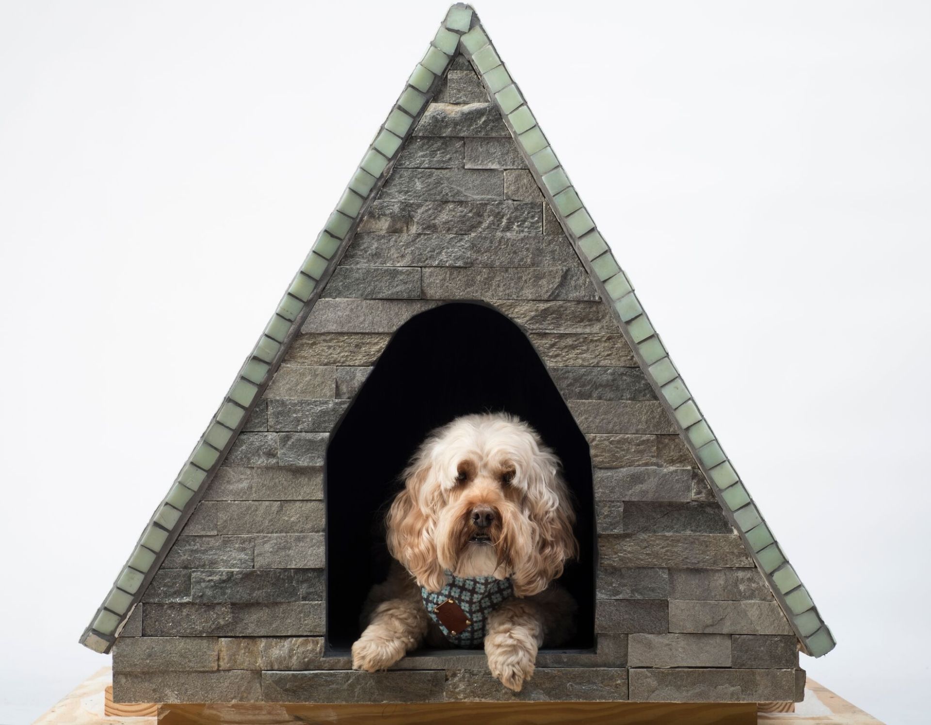 Jay Goulde, Matt Maynard, Eric Palmgren, Amanda McGraw and Tracy Rich - Canine Campanile - Image 4 of 8