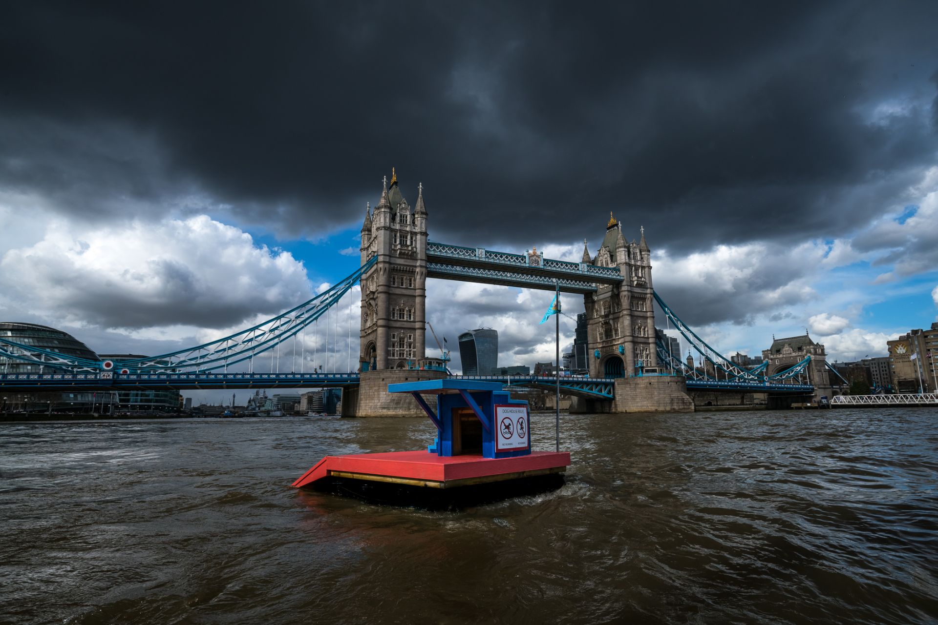 Studio Octopi and Rebecca Adlington OBE with Bluet and Creasy - The Amphibious Dog House - Image 2 of 4