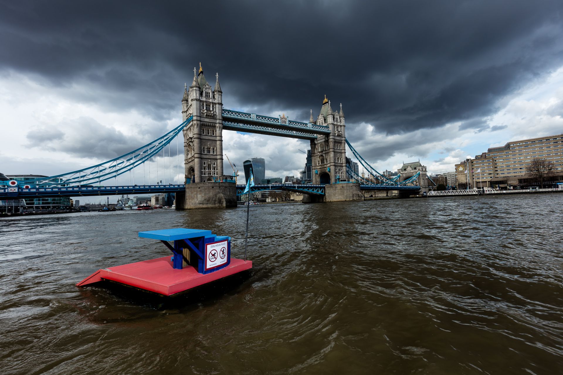 Studio Octopi and Rebecca Adlington OBE with Bluet and Creasy - The Amphibious Dog House - Image 3 of 4