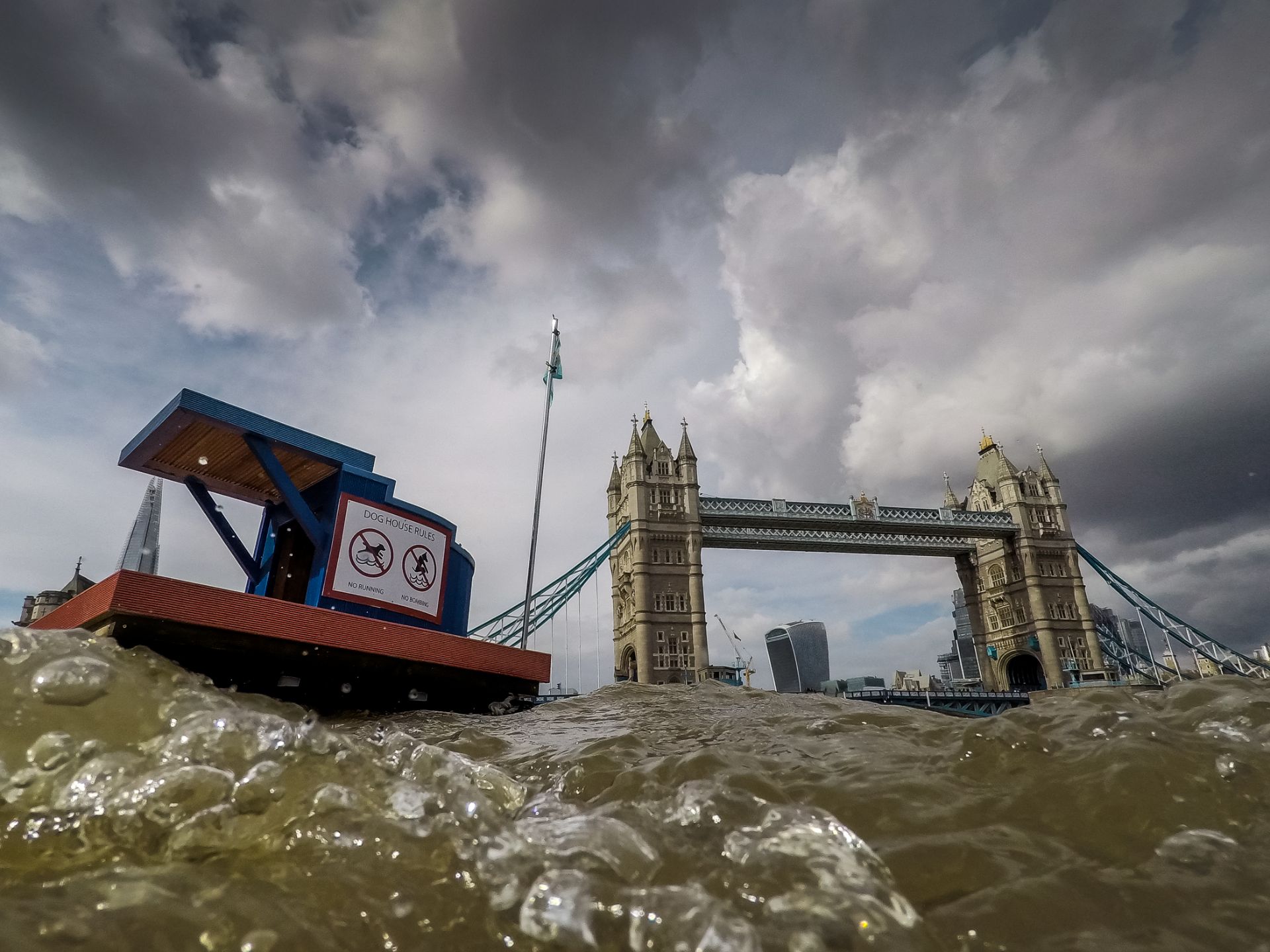 Studio Octopi and Rebecca Adlington OBE with Bluet and Creasy - The Amphibious Dog House