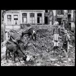 Peter Fischer: "Ziegen auf den Alpen - an der Friesenstrasse" (Goats on the Alps - Friesenstrasse in