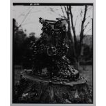 21st Century SchoolBuckled boot on a tree stump swarmed by beesLimited edition photograph, 1/5,