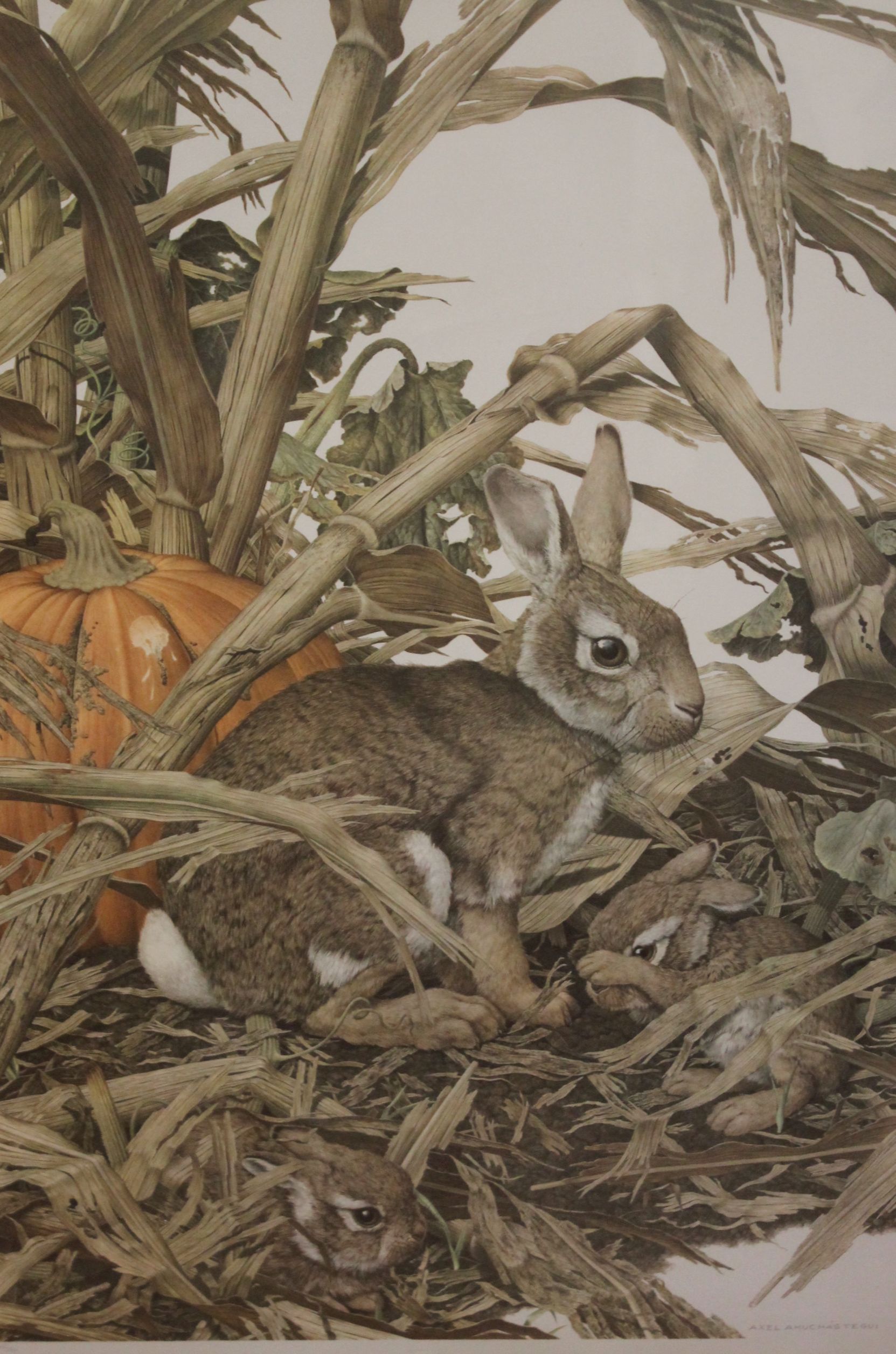 Axel Amuchastegui (Argentinian, 1921-2002)Eastern Cottontail Rabbit, Sylvilagus floridanusc.