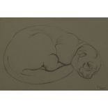 Silvia BakerSleeping dogPencil sketchSigned lower right26 x 18cm