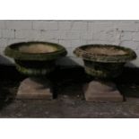 A pair of pedestal urns in Georgian style, weathered concrete