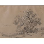 Attributed to Charles François Daubigny (1817-1878)Tree sketchCharcoalBears initial 'D', lower