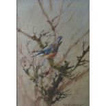 Edwin Penny (b1930)'Nuthatch'WatercolourSigned lower rightLabel verso36 x 25cm This lot may