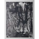 The Leaves of the TreesAbstract black and white print 28. x 38cm