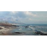 Dirk Bianchina Coastal sceneOil on boardSigned lower left 50 x 101cm Together with a coastal