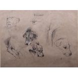 George Denholm Armour (1864-1949)Studies of dog's heads and legs and a man's head Charcoal