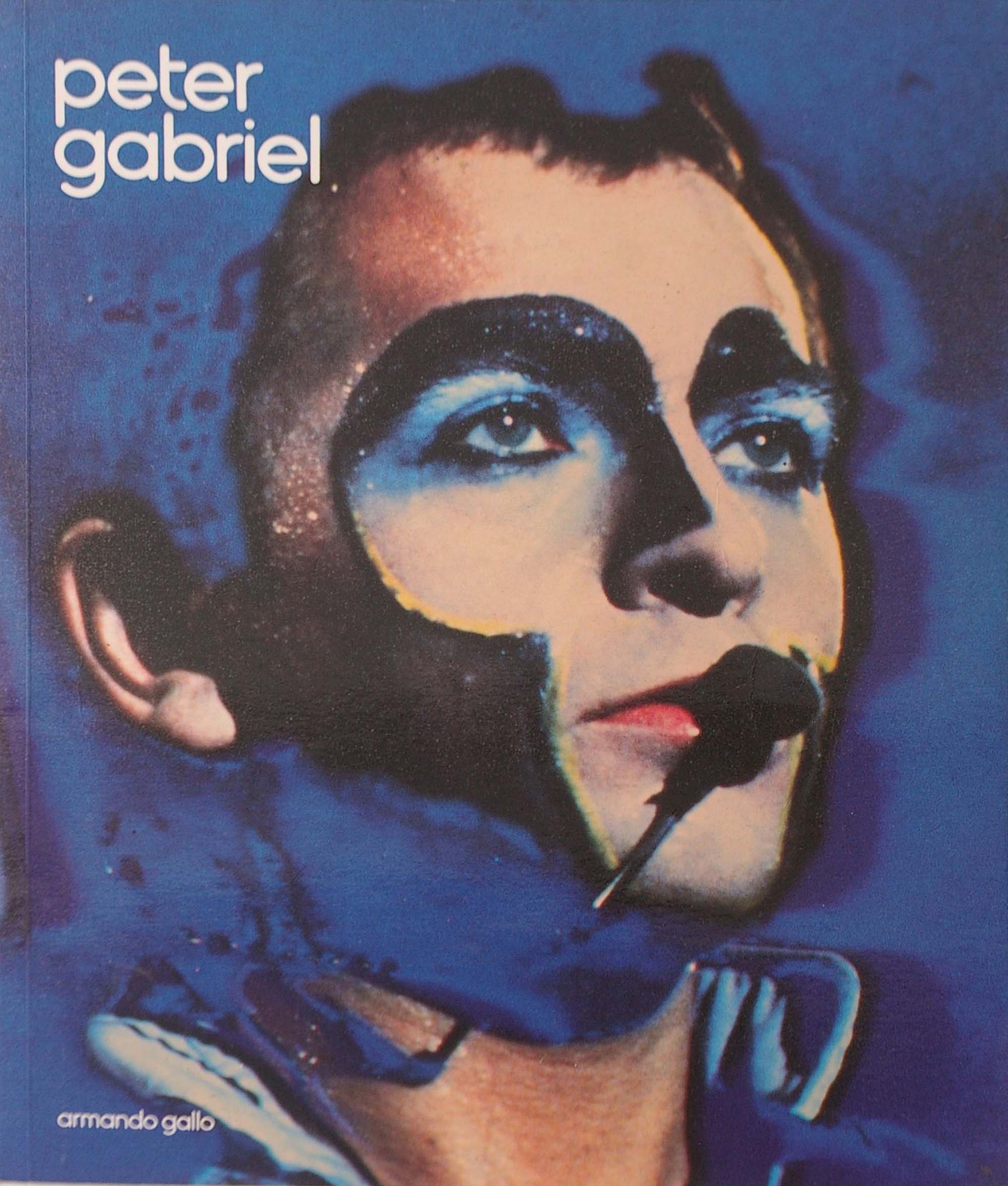 A quantity of biographies and documentary books about bands of the 1980's and 90's. Peter Gabriel by
