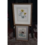 After Jane Wells Loudon, the Ladies' Flower Garden, a set of eight coloured lithographs, 19th