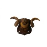 Taxidermy: A rams head, with substantial horns mounted on a mahogany shield plaque