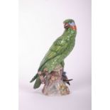 A Potschapel (Dresden) ceramic model of a green falcon with prey clutched in one claw, titled to