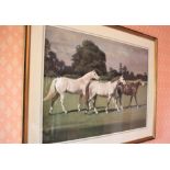 Alexander Charles-JonesThree Polo Ponies Gouache and wash Signed 51 x 71cms