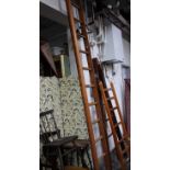 An orchard ladder 320cm length