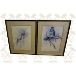 Two Large framed Parrot Prints