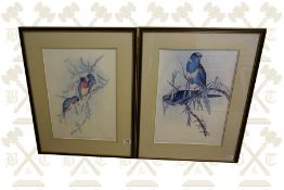 Two Large framed Parrot Prints