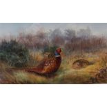 Framed R.D. Kristupas nesting pheasants