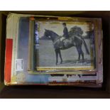 Selection of scrapbooks covering equestrian events from 1954-1971.