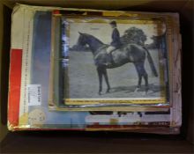 Selection of scrapbooks covering equestrian events from 1954-1971.