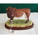 Border Fine Arts Beef Shorthorn Bull