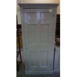 Single door, painted pine cupboard