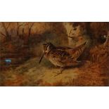 A framed limited edition print No 41 of 400 by A. Thorburn of Woodcock in woodland