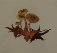 Pair of still life watercolours of fungi by Espeth Harrigan
