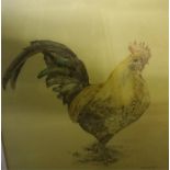 Watercolour of Cockerel signed by Vicki Hopkinson 11 x 11 inch