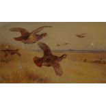 A framed limited edition print No 41 of 400 by A. Thorburn of partridge in flight