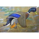 Watercolour of Mallard by Ralston Gudgeon 16 x 20 inch