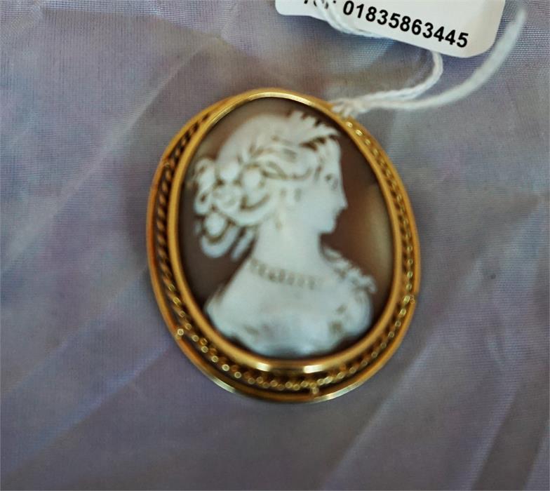 Gold mounted cameo brooch