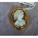 Gold mounted cameo brooch
