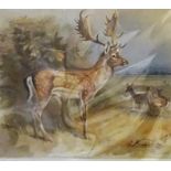 After Archibald Thorburn, A Group Of Seven Assorted Animal Prints, 24 x 29cm, mounted on card, (7)