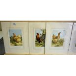 A Group Of Eight Assorted Poultry Prints, 23 x 15.5cm, mounted in card, (8)
