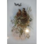 A Victorian Painting On Opaque Glass, depicting birds and butterflies, 33 x 23cm, in a gilt frame