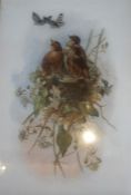 A Victorian Painting On Opaque Glass, depicting birds and butterflies, 33 x 23cm, in a gilt frame