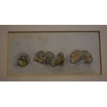 Irene Leslie Main (Scottish born 1958) "Ducklings" Pencil and Wash, signed and dated 1992 to lower