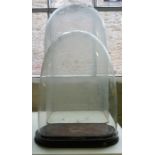 Two Antique Glass Dome Clock Covers, one raised on an ebonised stand, 40, 60cm high, (2)