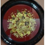 A Collage of Pressed Flowers, on a red velour backing, 44cm diameter, in an ebonised circular frame