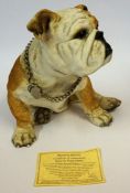 A Large Figure of Buster the British Bulldog by Brooks & Bentley, 30cm high, with certificate of