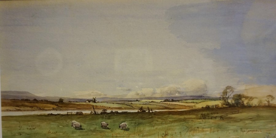 Tom Campbell (Scottish 1865-1943) "Sheep Grazing" Watercolour, signed lower right, 16.5 x 33cm,