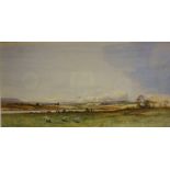 Tom Campbell (Scottish 1865-1943) "Sheep Grazing" Watercolour, signed lower right, 16.5 x 33cm,