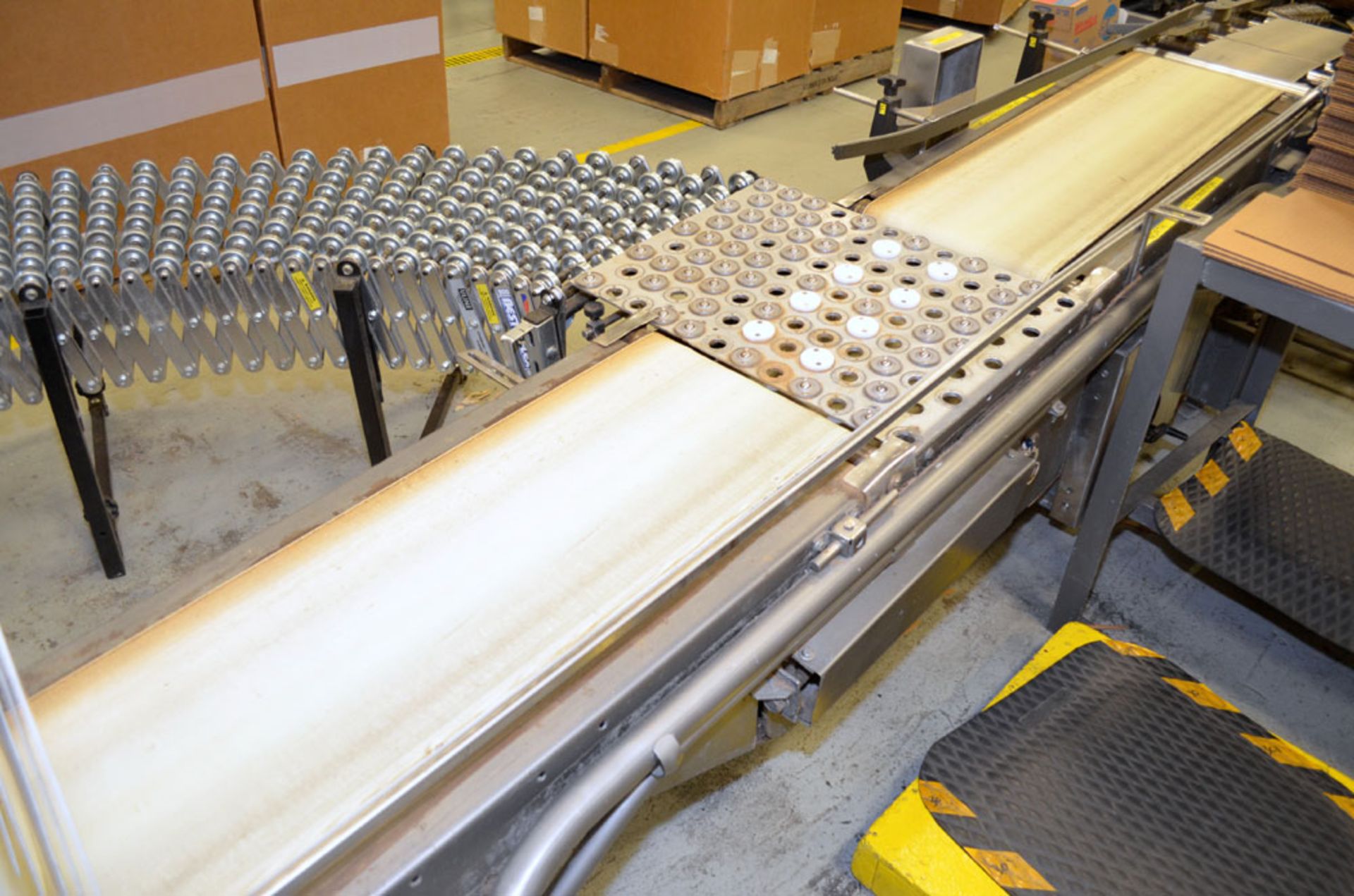 Case Conveyor - Image 2 of 6